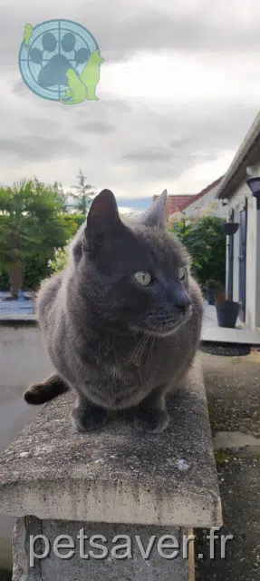 chat reunited 40180 Seyresse Chokdi