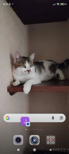 chat reunited   42890 Sail-sous-Couzan Sweety