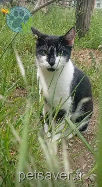 kater reunited   44390 Casson Achille