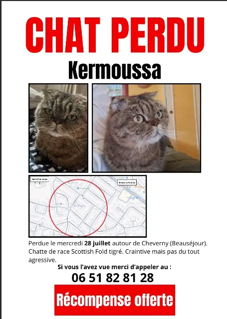 chat reunited   44800 Saint-Herblain Karmoussa