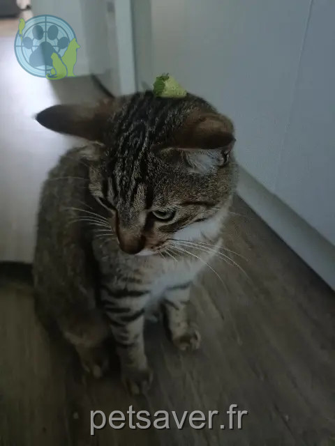 chat reunited 44480 Donges Közi