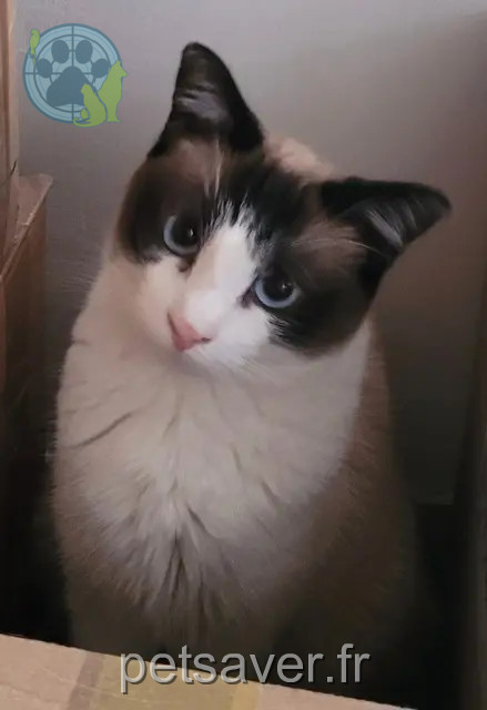 Kater reunited Nantes Achille