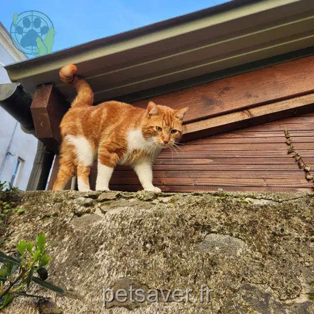 Kater reunited Nantes Chanatole