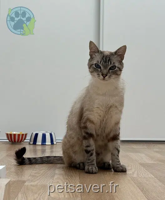 chat reunited 44330 Vallet Oslo