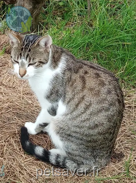 kater reunited 45500 Gien Chaturnin