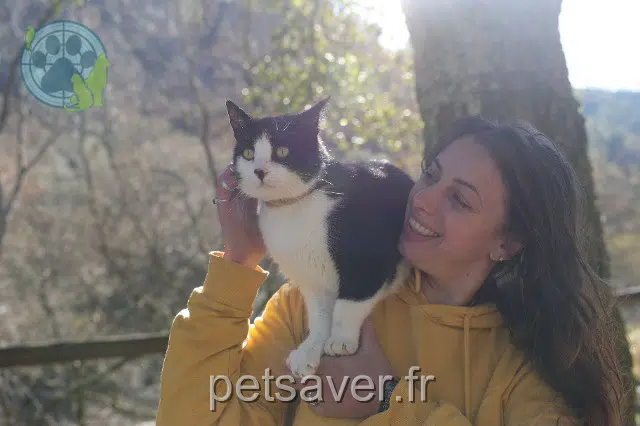 chat reunited   45730 Saint-Benoît-sur-Loire Mačack