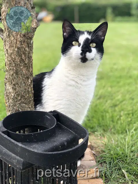 chat reunited 50700 Morville Aaron