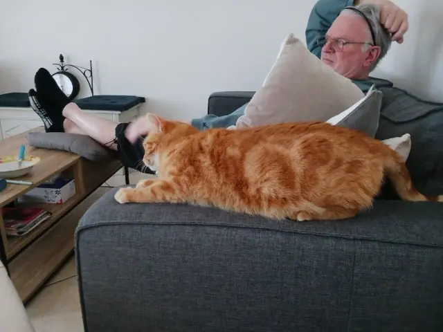 chat reunited   54200 Toul kiki