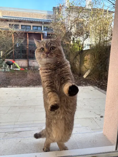 chat reunited    Nancy Scampi