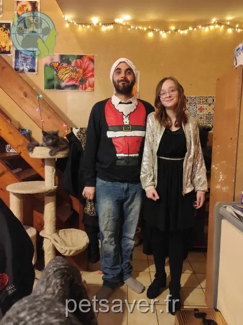 chat reunited 56300 Pontivy Poomba