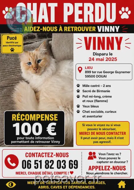 chat reunited   59500 Douai Vinny
