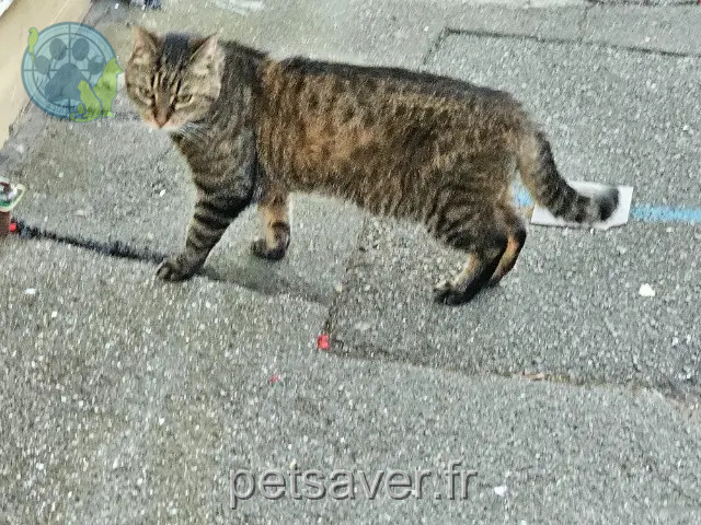chat reunited    Lille Bill