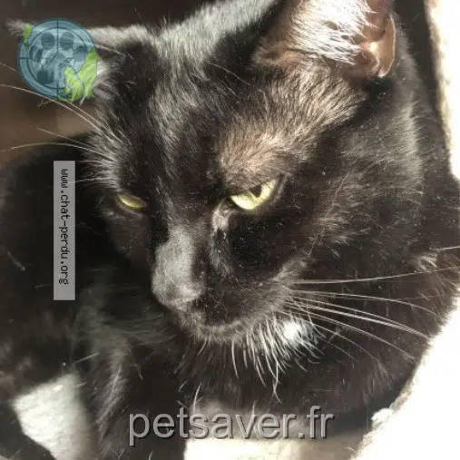 Kater reunited 59320 Haubourdin Mogwaï