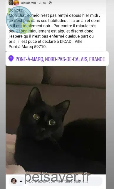 chat reunited   59710 Pont-à-Marcq Romeo