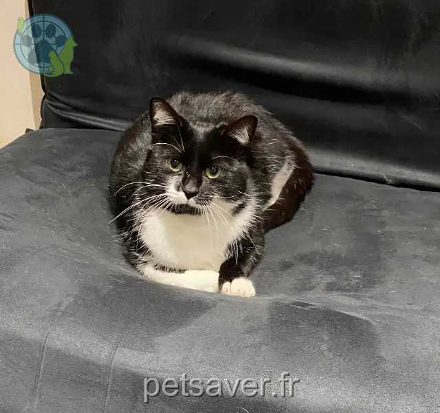 chat reunited 59700 Marcq-en-Barœul Tommy