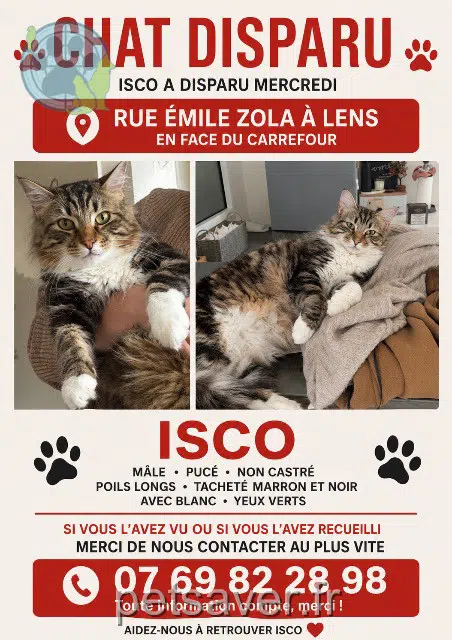 chat reunited 62300 Lens Isko