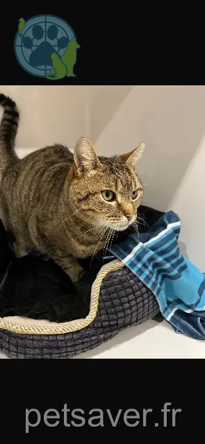 chat reunited 64200 Bassussarry Olaf