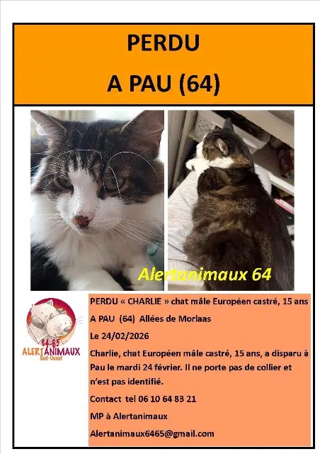 chat reunited   64000 Pau Charlie
