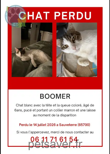 chat reunited 65700 Sauveterre Boomer