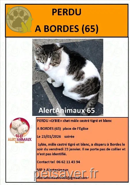 chat reunited 65190 Bordes Lybie