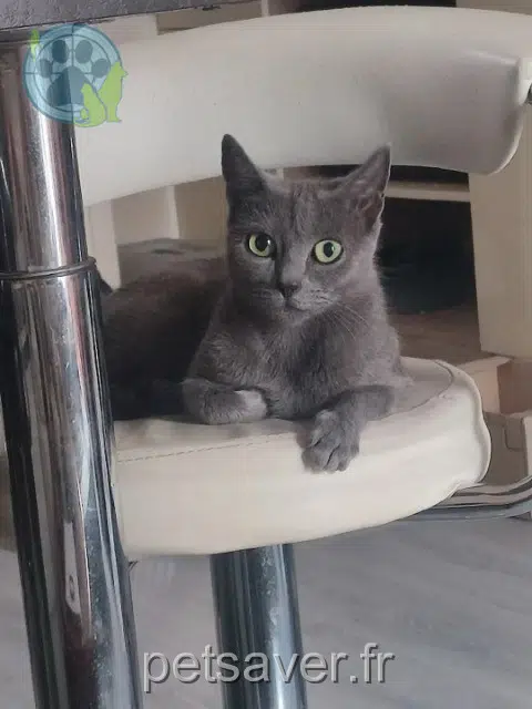 chat reunited 65100 Lourdes Missy