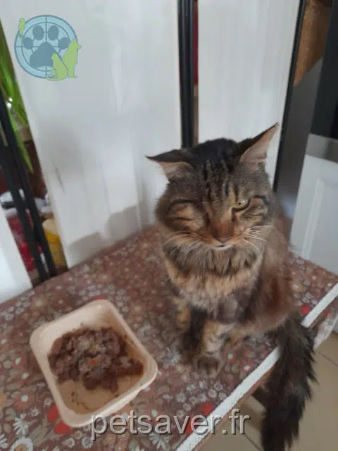 chat reunited 65000 Tarbes Norway