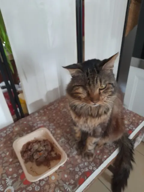 chat reunited   65000 Tarbes Norway