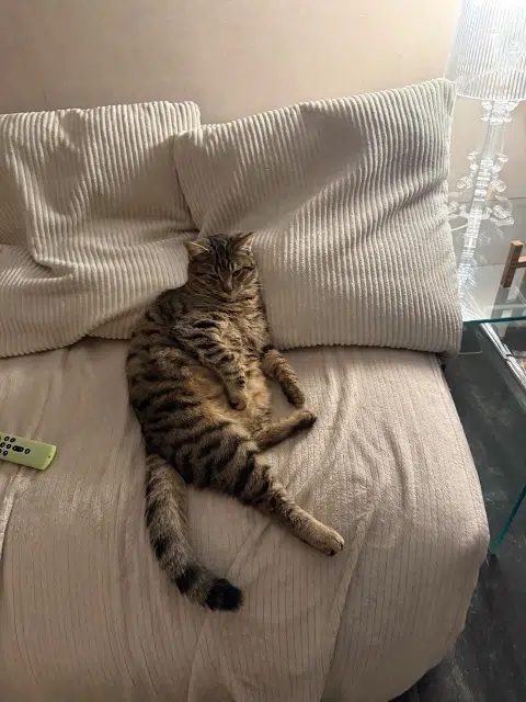 chat reunited   68127 Oberentzen Billy