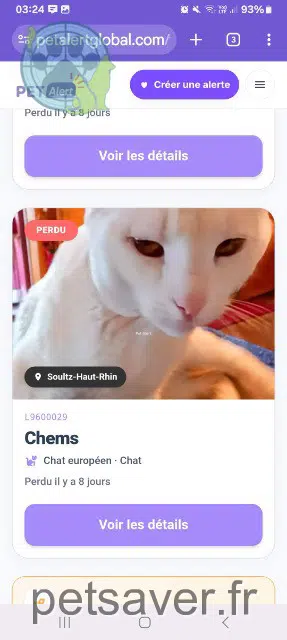 chat reunited 68360 Soultz-Haut-Rhin Chems