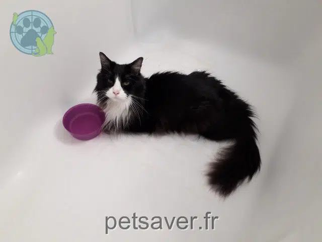 chat reunited 69390 Millery Zizou