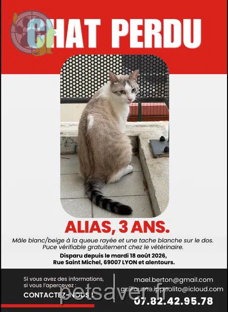 chat reunited Lyon Alias