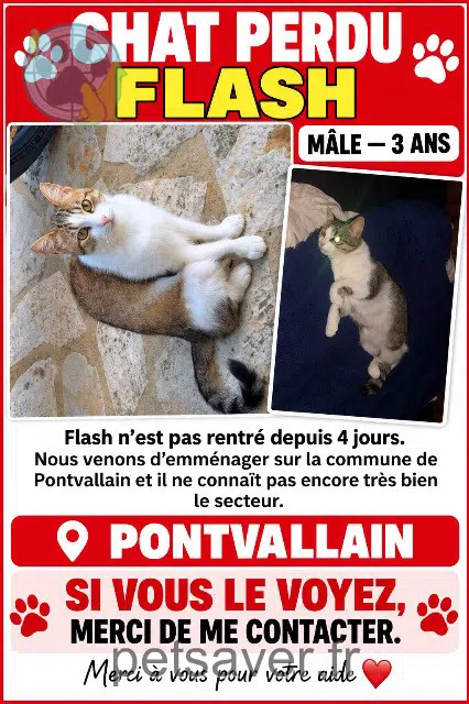 chat reunited 72510 Pontvallain Flash