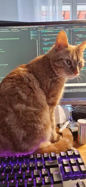 chat reunited   73710 Pralognan-la-Vanoise Jim