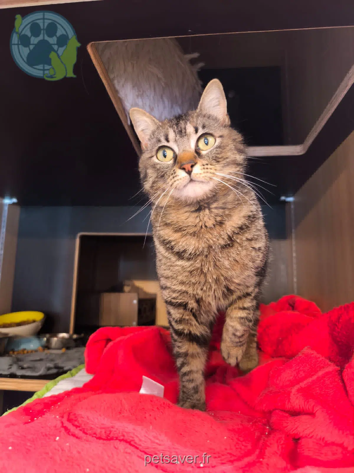 kater reunited 74600 Quintal Filoute