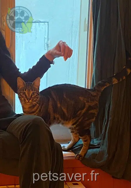 chat reunited    Paris Bjorn