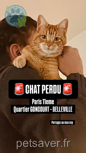 chat reunited    Paris Kiki