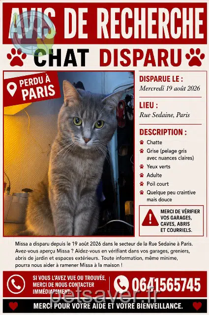 chat reunited Paris Missa