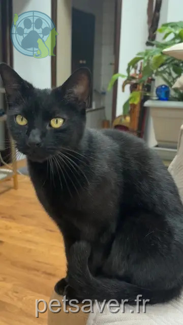 chat reunited 77111 Solers Crapule