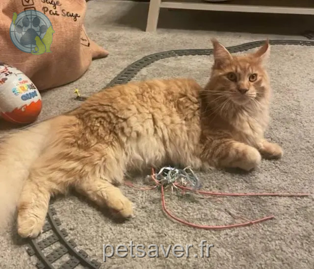 chat reunited 77930 Perthes Gimli