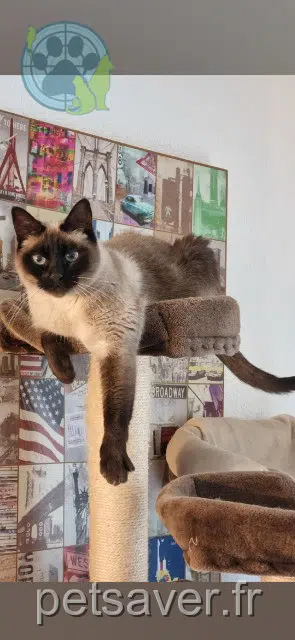 chat reunited 77760 Recloses Joy