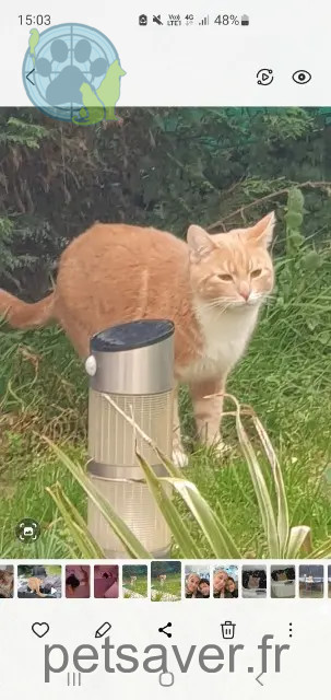 chat reunited 77176 Nandy MIEL