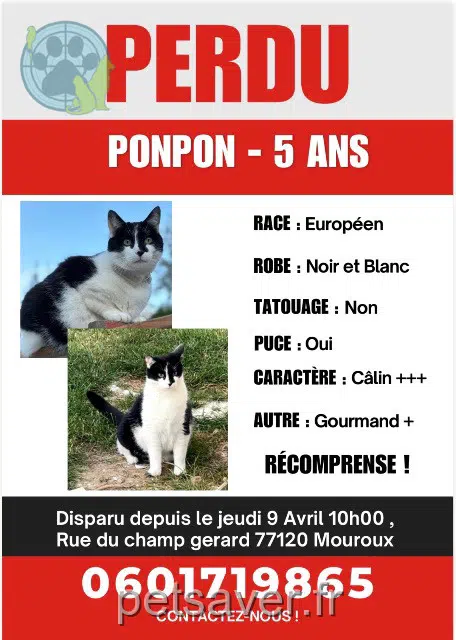 chat reunited   77120 Mouroux Ponpon