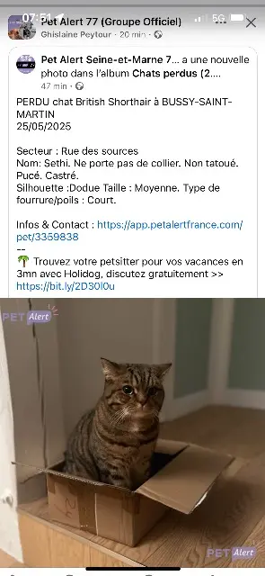 chat reunited   77600 Bussy-Saint-Martin Sethi