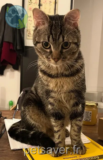 chat reunited   78390 Bois-d'Arcy Xanax