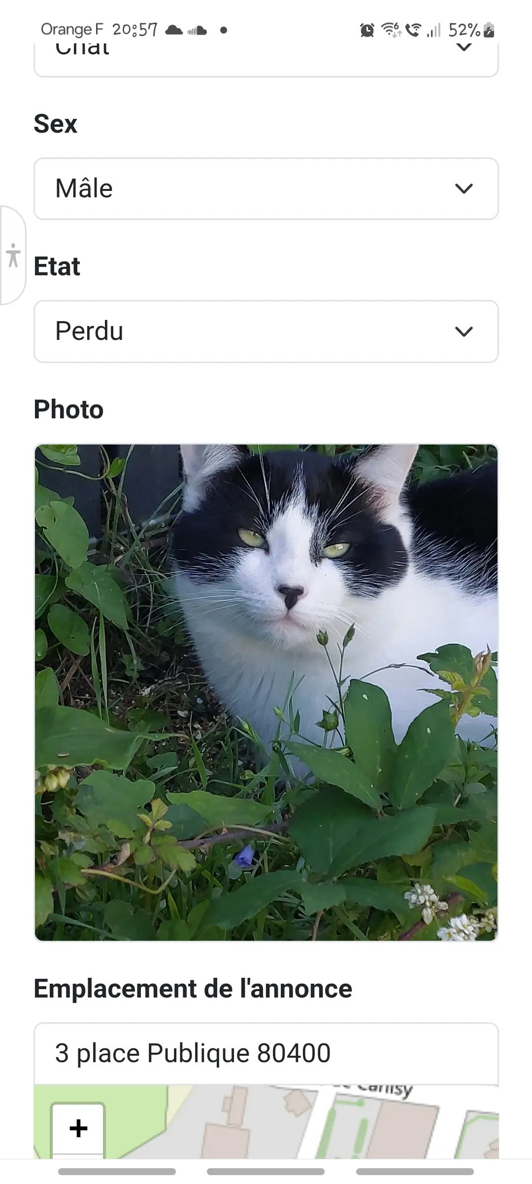 chat reunited   80400 Esmery-Hallon Filou