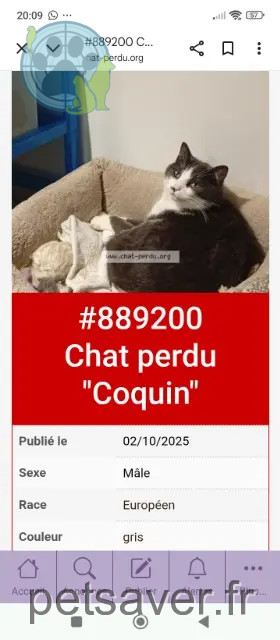 chat reunited   83160 La Valette-du-Var Coquin