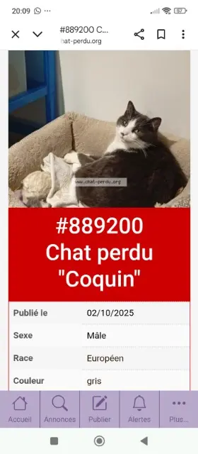 chat reunited   83160 La Valette-du-Var Coquin