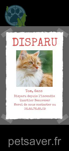 chat reunited 83460 Les Arcs Tom