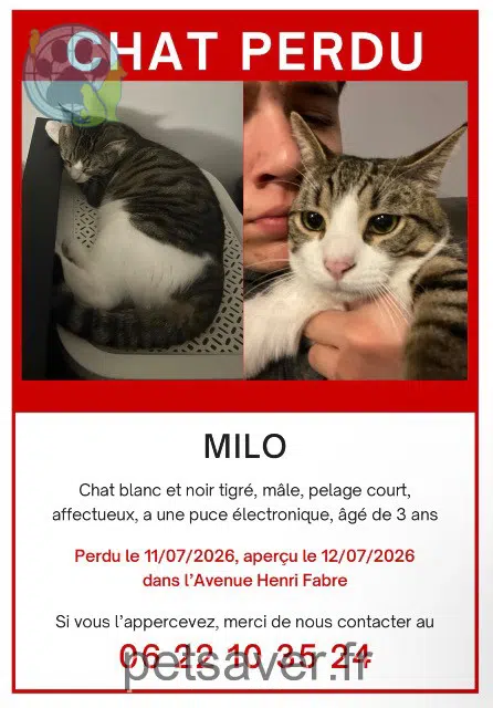 chat reunited 84100 Orange Milo