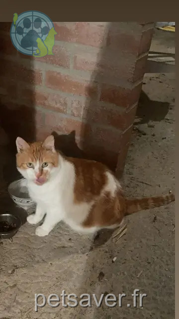 chat reunited Chanverrie Jacko